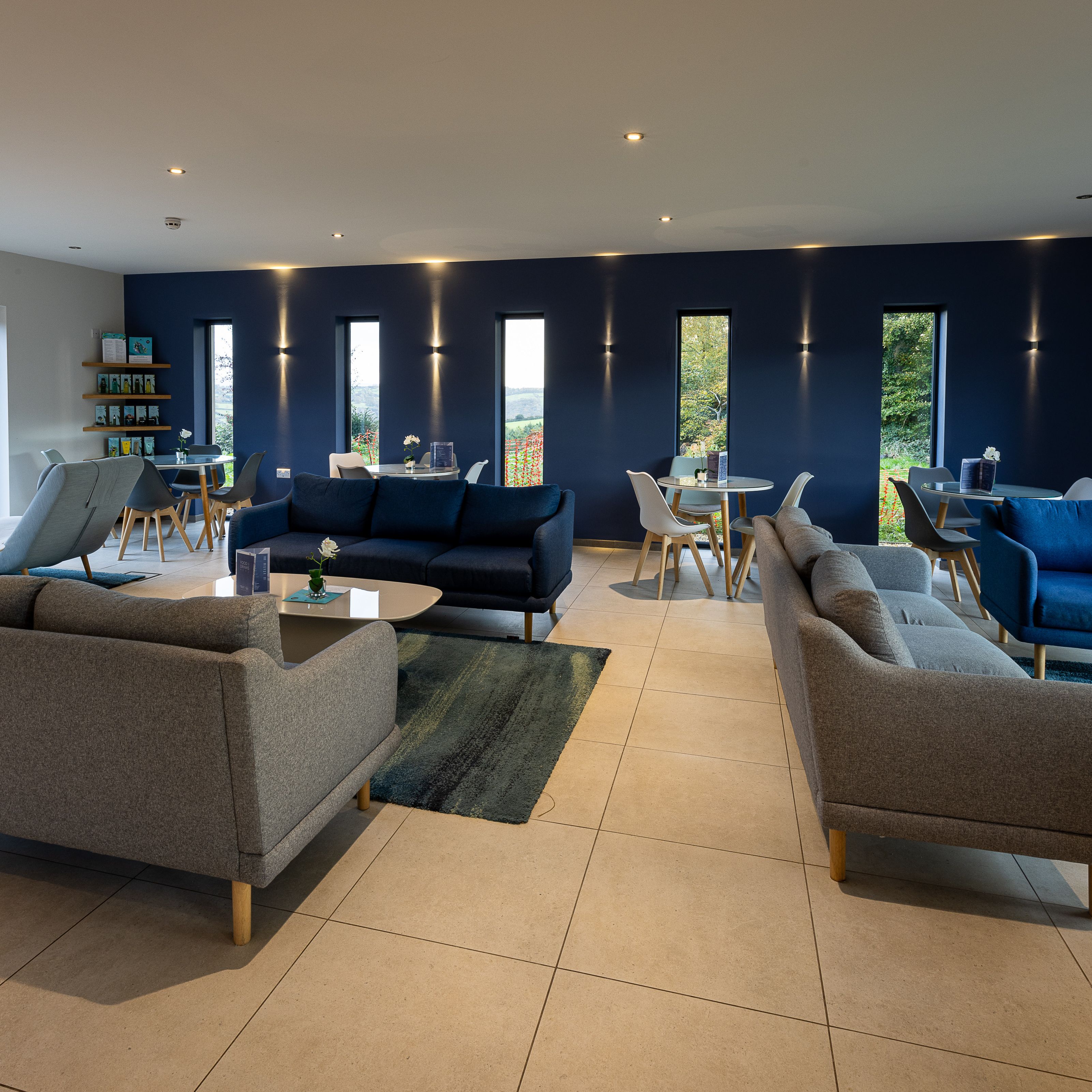 Modern lounge area with sofas, chairs, and tables featuring large windows and a blue accent wall.