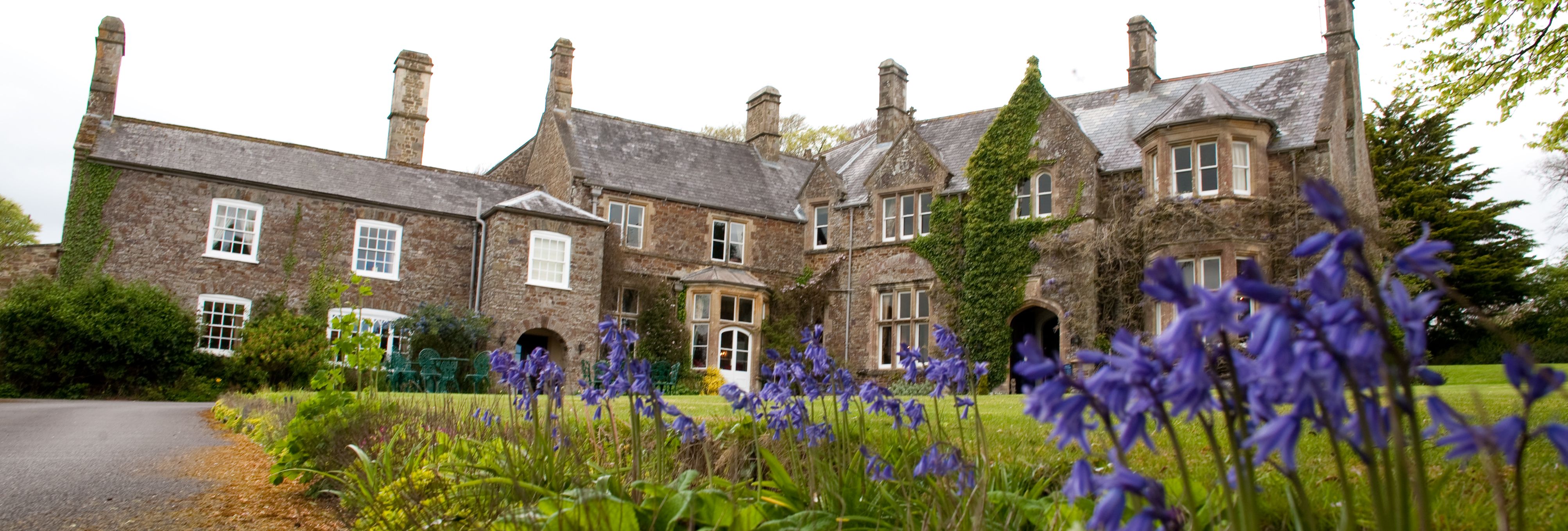 Bluebells blooming in front of a large stone country house with ivy and multiple chimneys.
