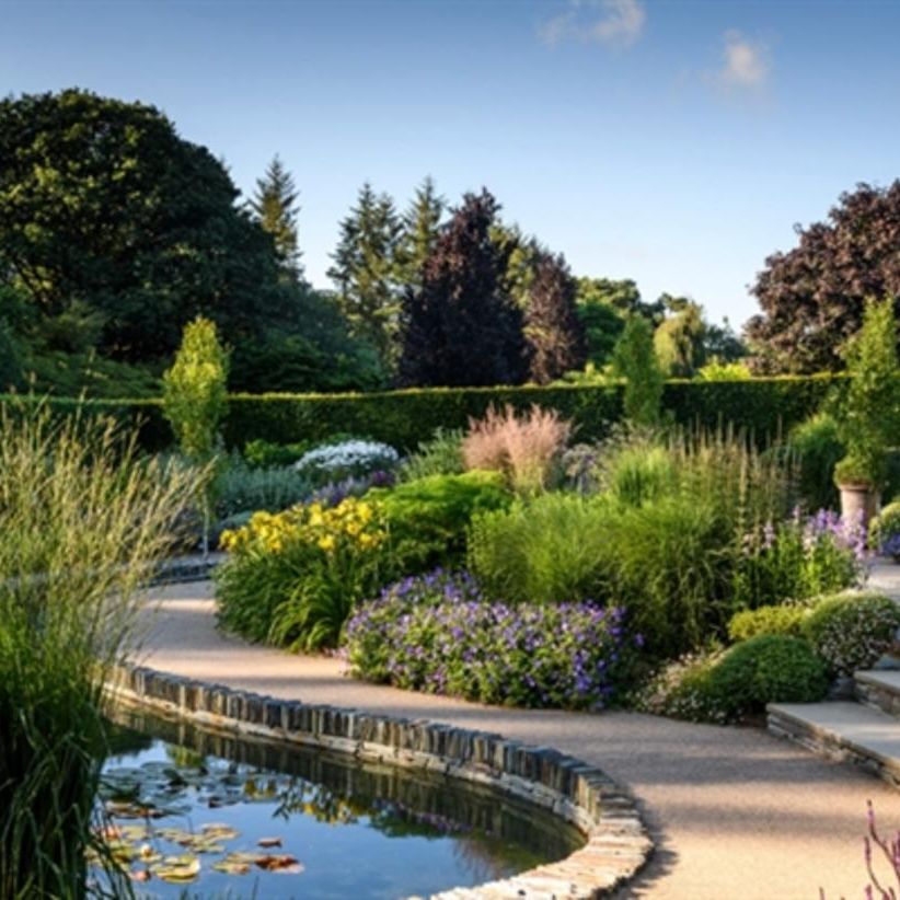 Beautiful landscaped garden with colorful flowers, shrubs, and a small pond under a clear sky.