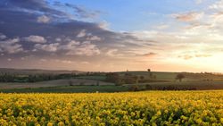 Lincolnshire Countryside at Dusk