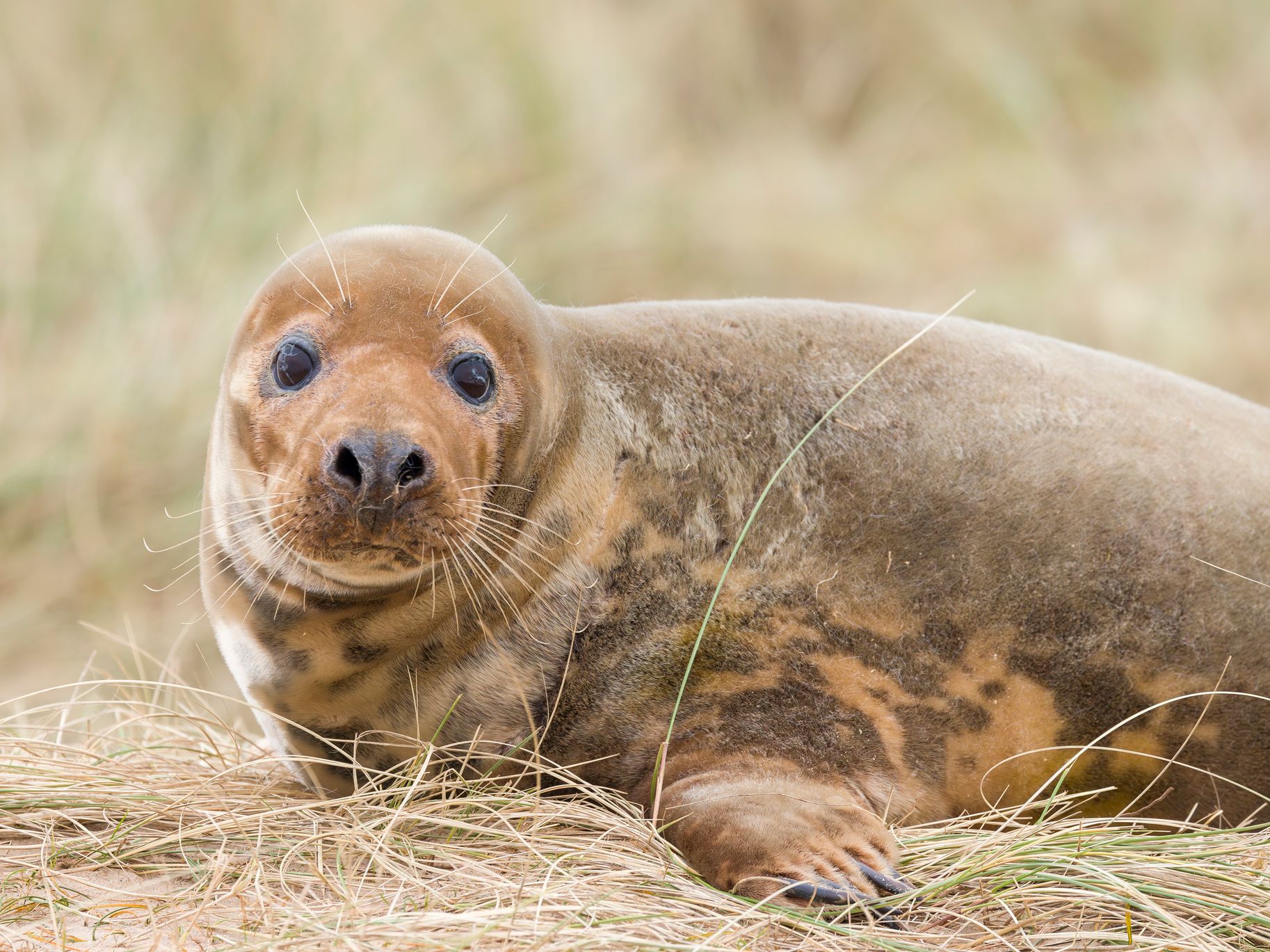 GettyImages-2115396478