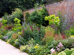 Walled Garden