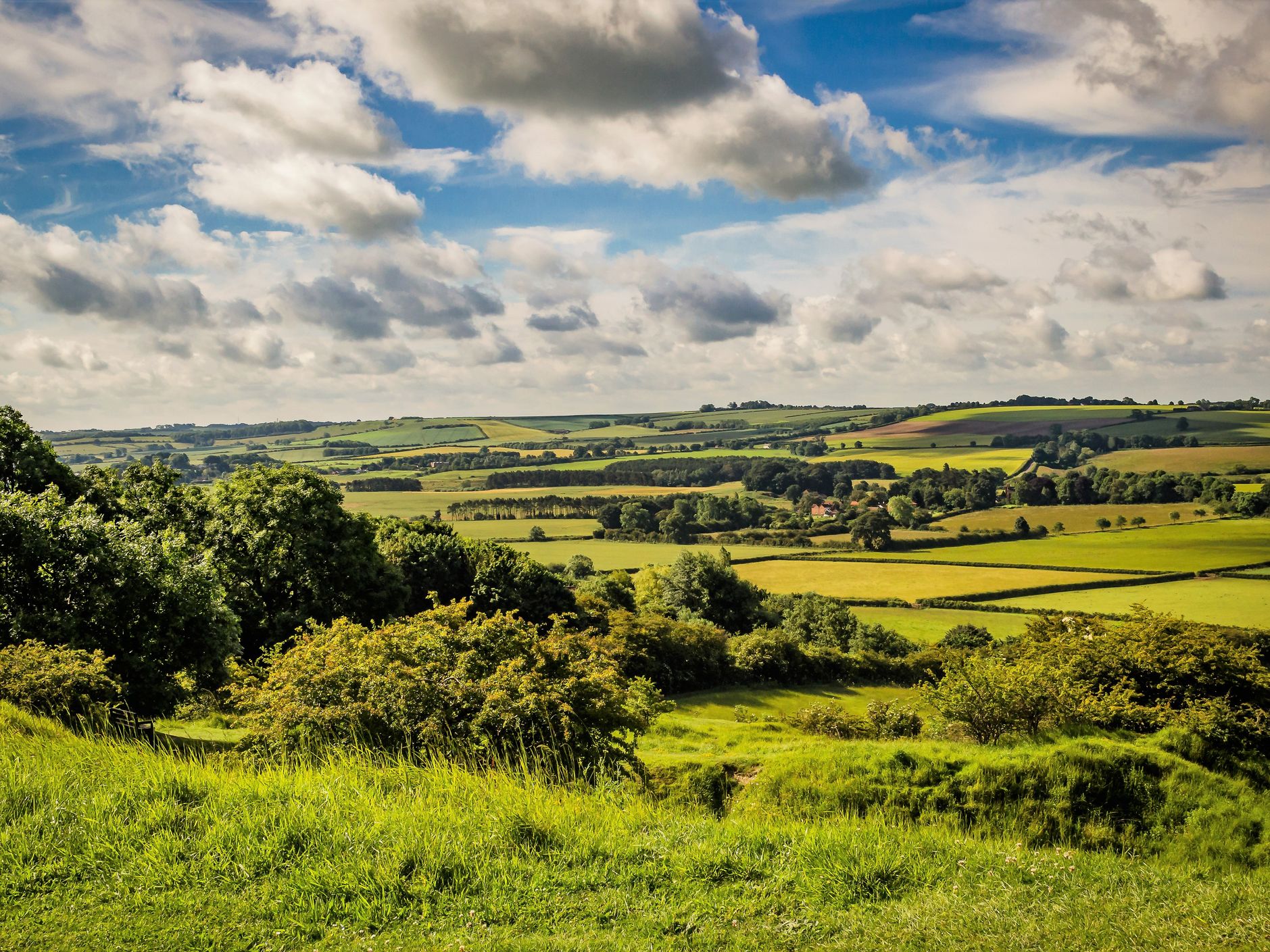 Rolling hills of the lincolnshire wolds