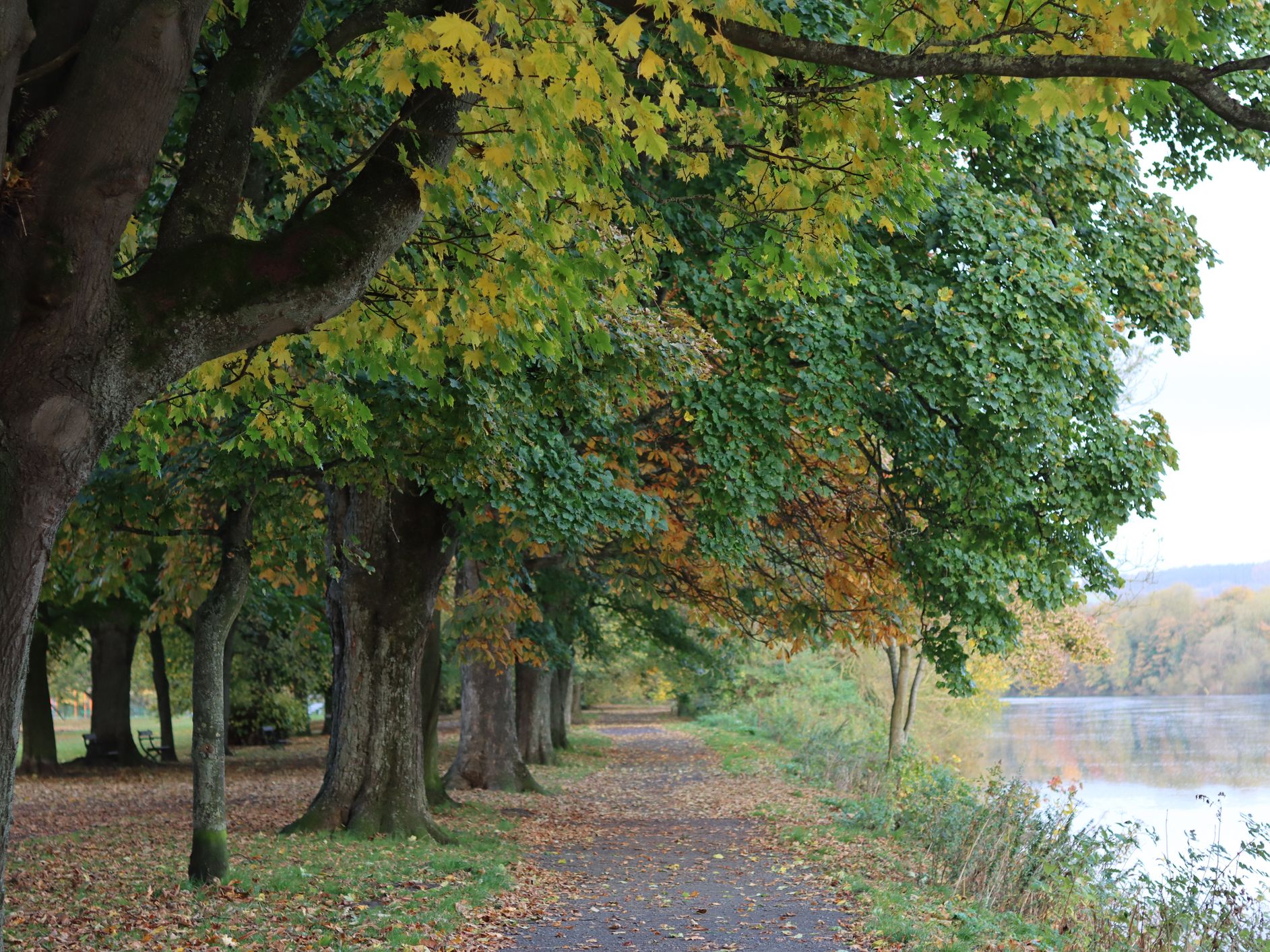 Swanholme Lakes Nature Reserve