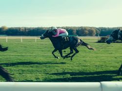 Horses racing