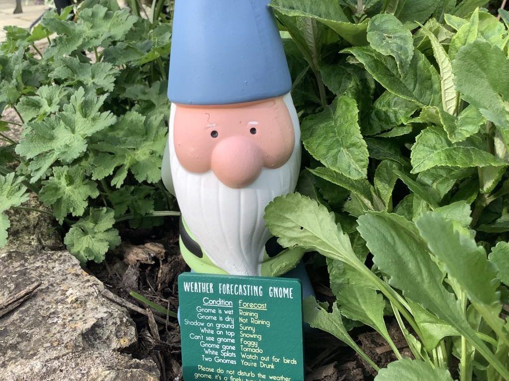 weather forecasting Gnome surrounded by plants