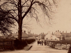 old photo of Main Street, normanby by spital with a cow being led by a farmer