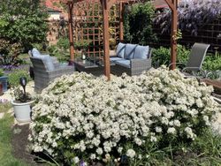 Patio in garden with chairs, sofa and table surrounded by flowers
