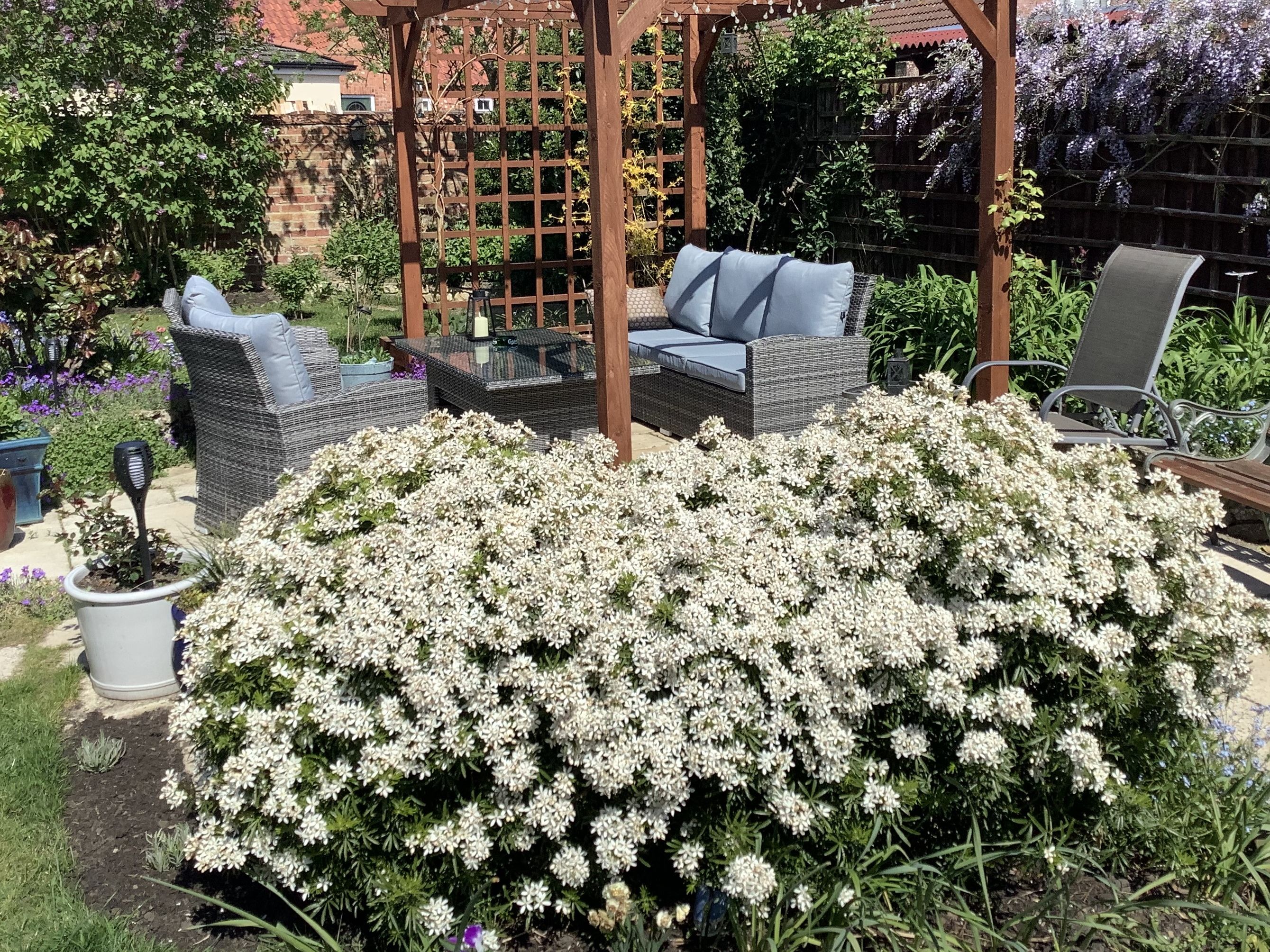 Patio in garden with chairs, sofa and table surrounded by flowers
