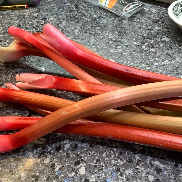 Stalks of rhubarb