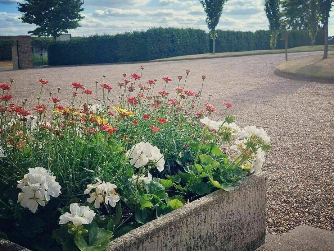 Flowers in a container on a driveway