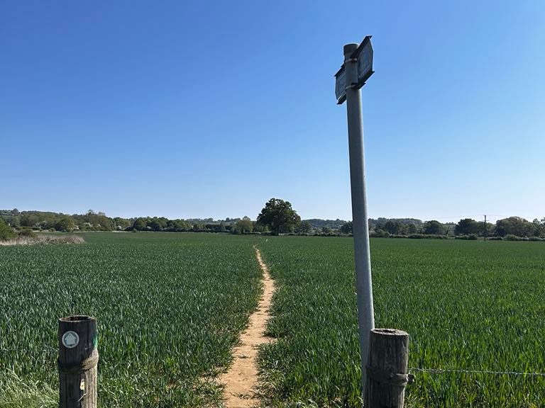 A narrow dirt path cuts through a green field under a clear blue sky, with a signpost and wooden fence in the foreground.
