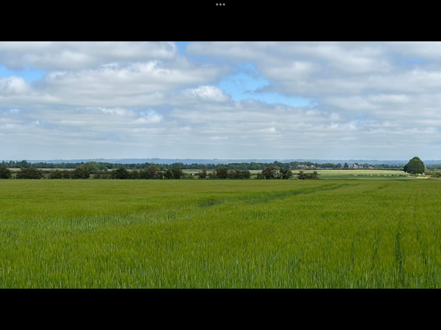 Green field with trees in the distance under a partly cloudy sky