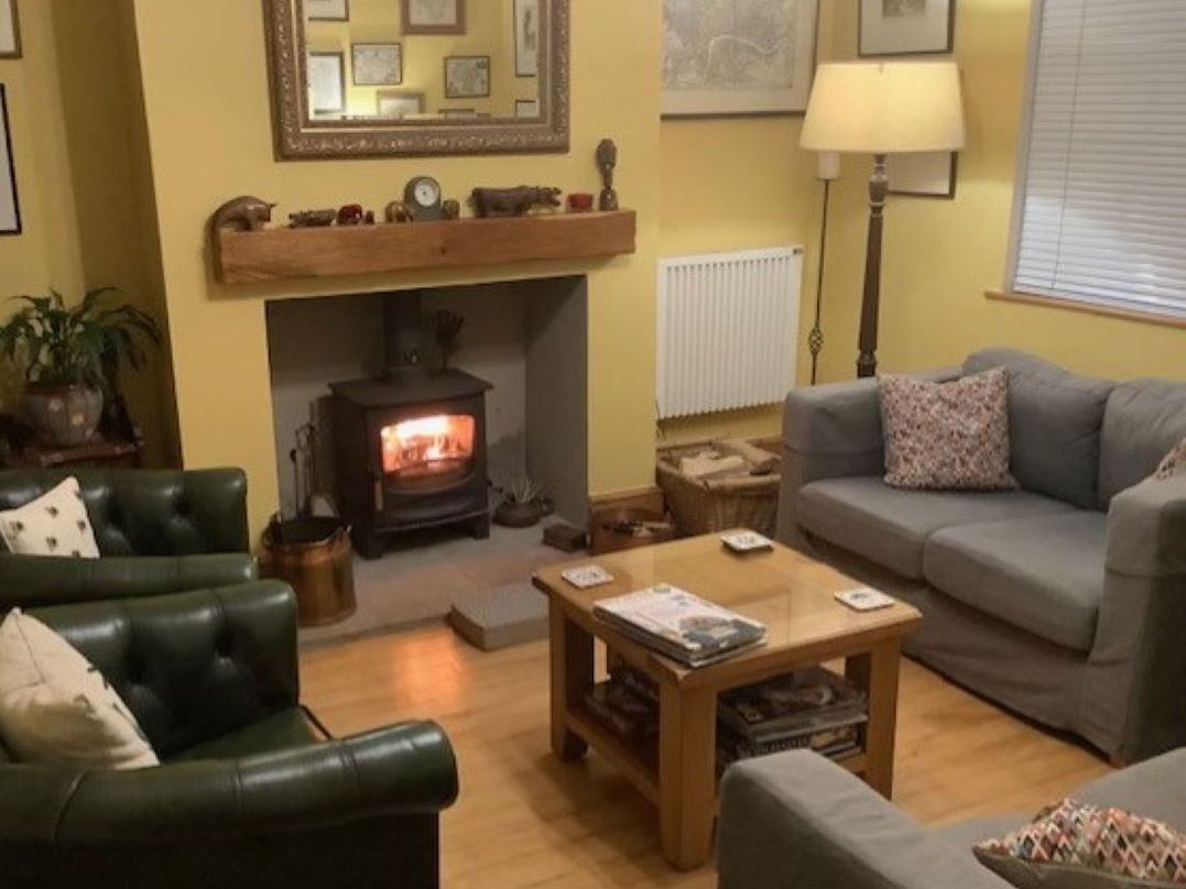 Cozy living room with a wood-burning stove, green armchairs, a grey sofa, coffee table, and lamp.