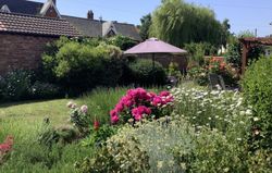 Garden of The Old Posthouse in summertime