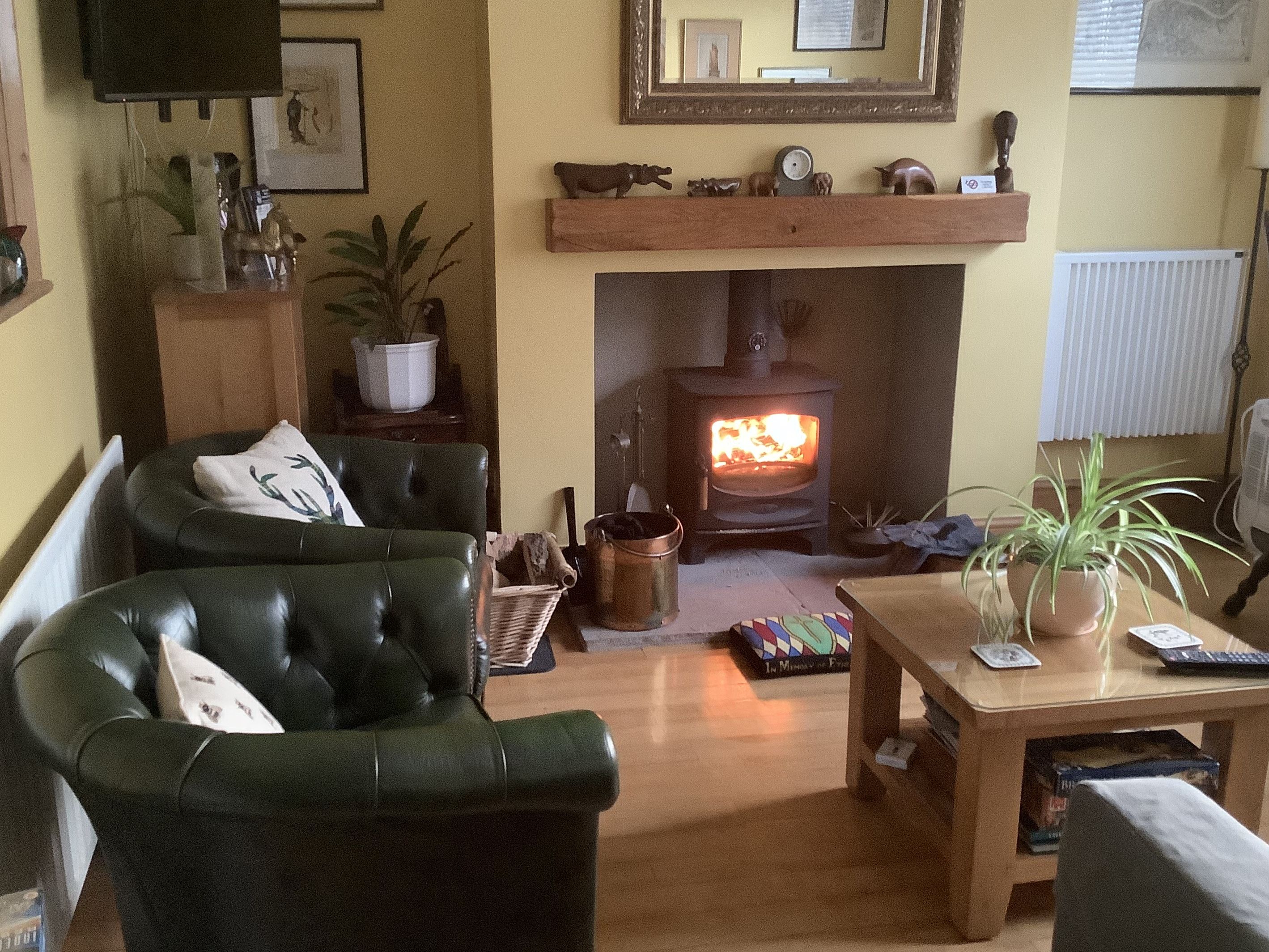 Fire in the log burner, comfy leather chairs, coffee tableand bookcase