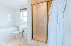 Badger Bathroom 1