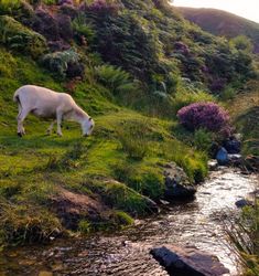 church stretton