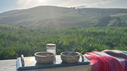 Gaia Wild Rasul Ritual