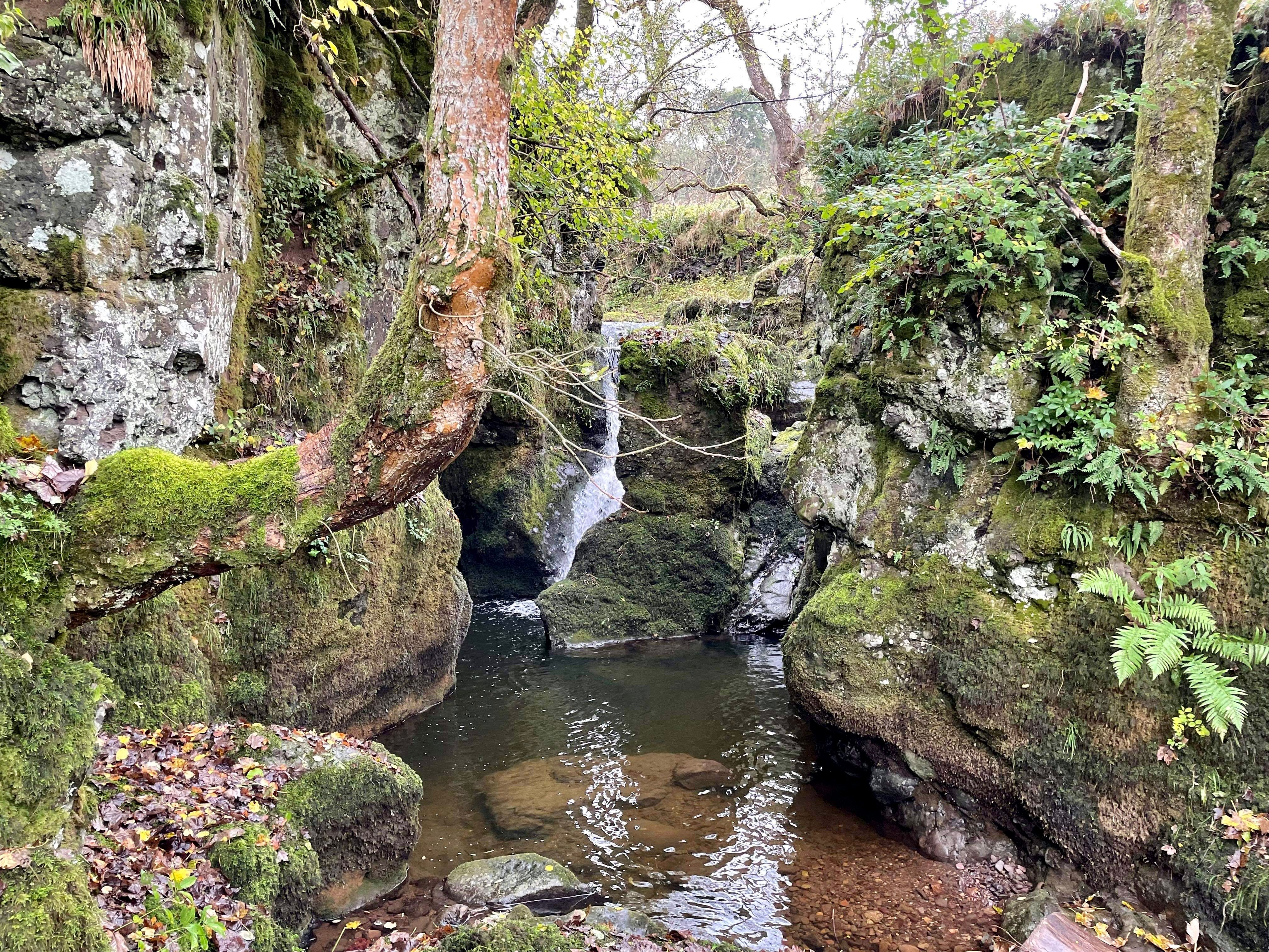 Waters of May waterfall and pool
