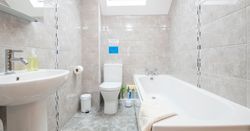 Bathroom in Towy Cottage with bath and skylight