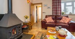A cosy living room in Teifi Cottage with a wood-burning stove, brown leather sofa, plaid curtains, and a wooden coffee table set with tea, apples, and magazines.