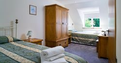A cozy twin bedroom in Cych Cottage with two white metal-framed beds, green patterned bedding, wooden furniture, and a window letting in natural light with a view of greenery.