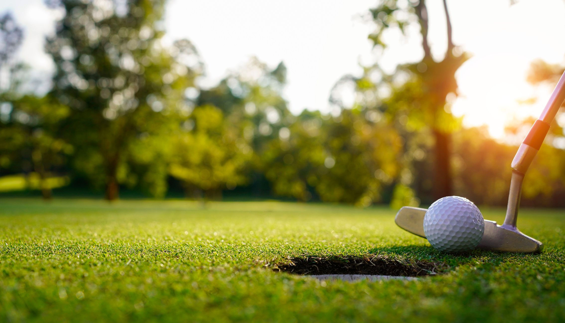 A close up of a golf ball and club about to be putted