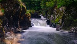 A serene waterfall flows through a moss-covered rocky gorge, surrounded by lush green foliage, with smooth and misty water