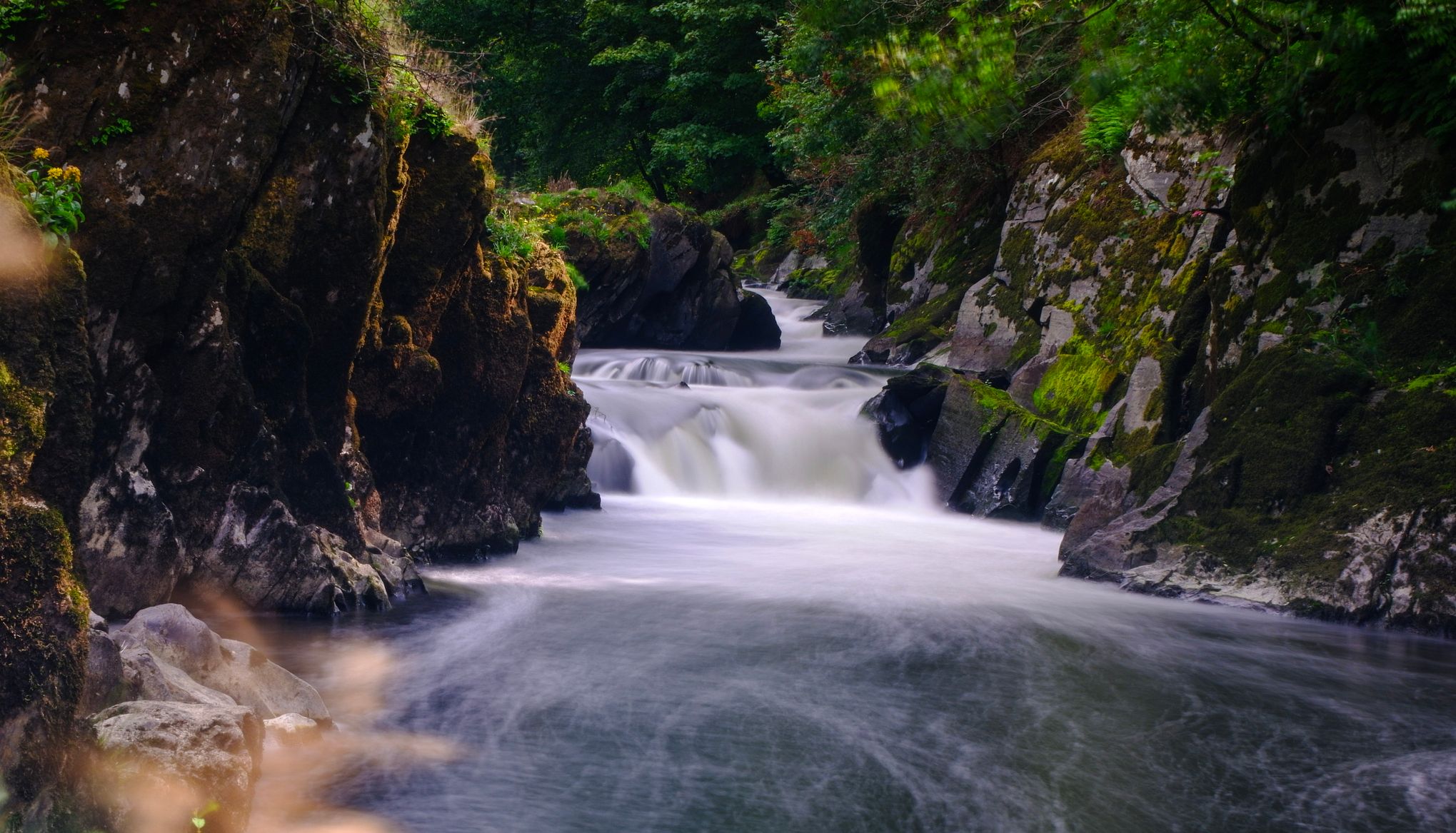 A serene waterfall flows through a moss-covered rocky gorge, surrounded by lush green foliage, with smooth and misty water