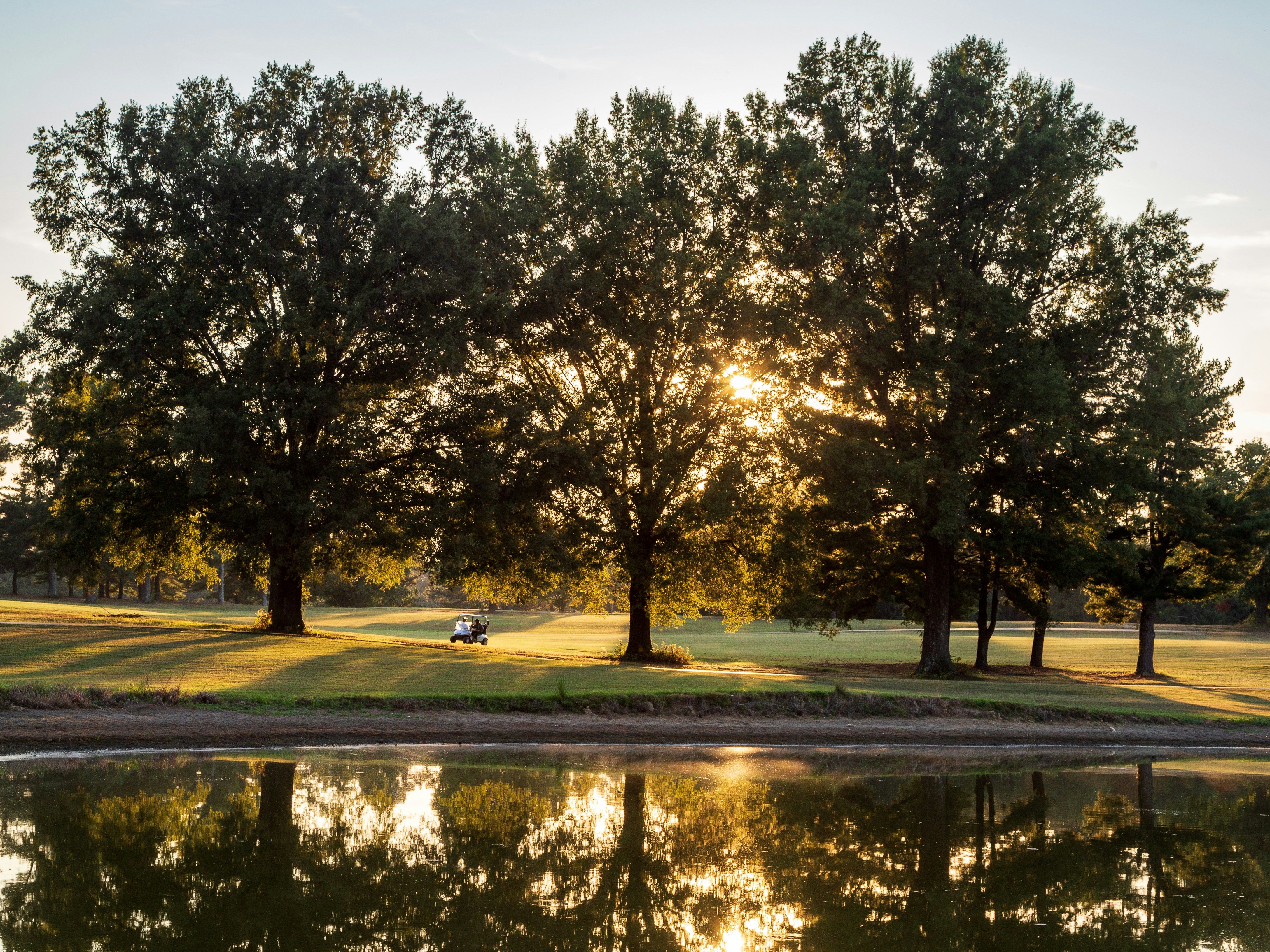 Sunlight shining through tall trees beside a golf course with a small golf buggy and reflections in a pond