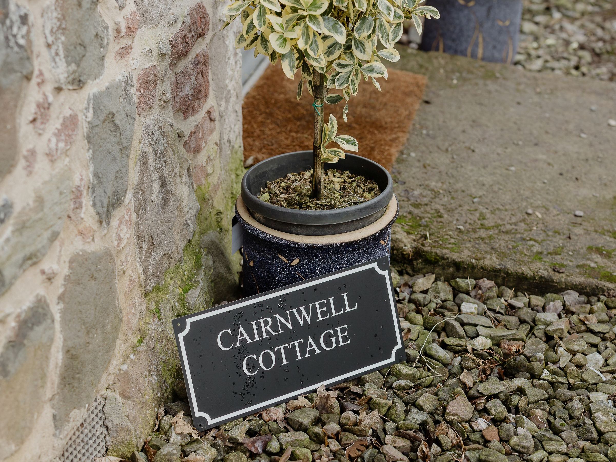 Potted variegated topiary outside a stone cottage with a 
