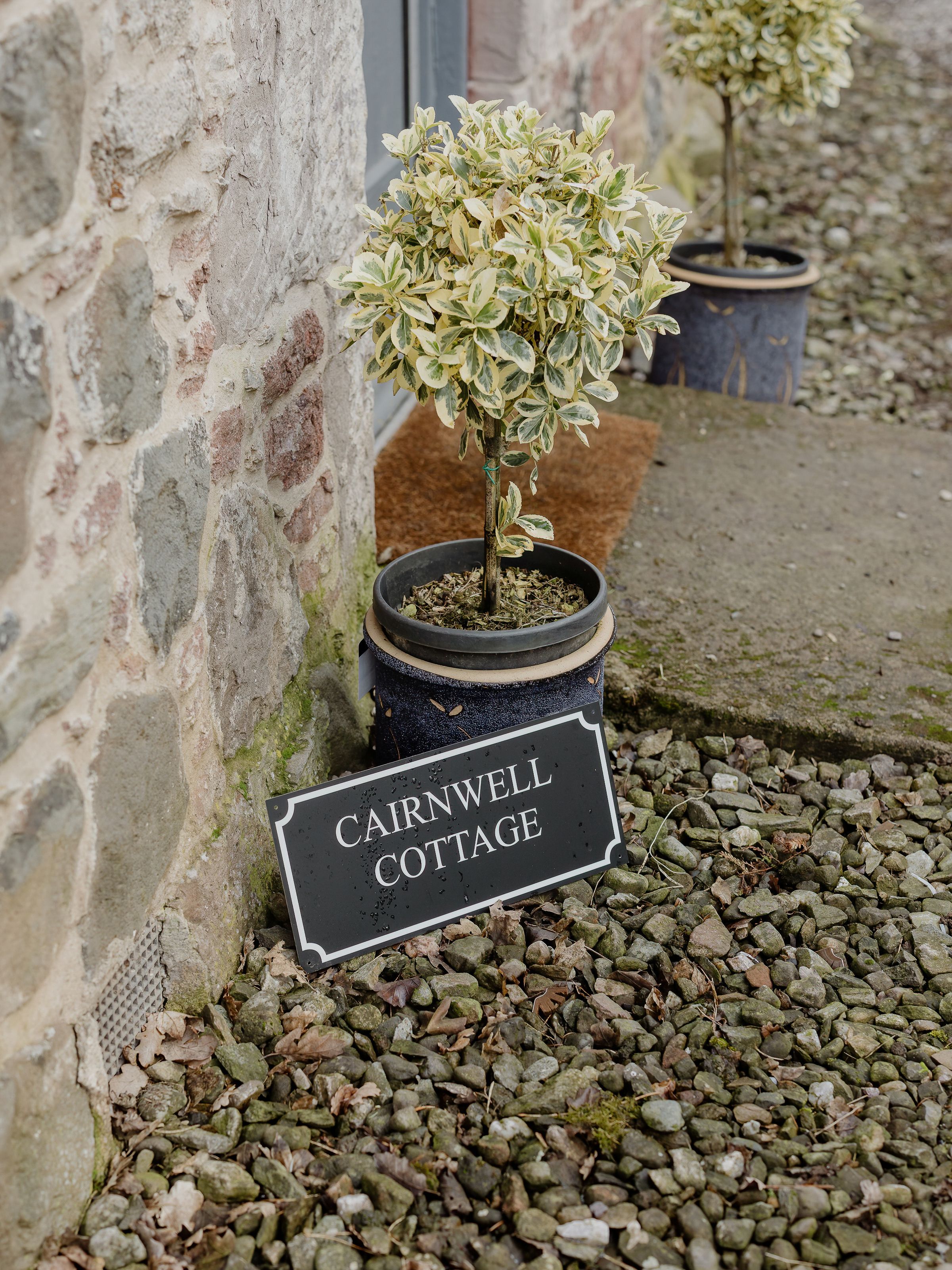 Potted variegated topiary outside a stone cottage with a 