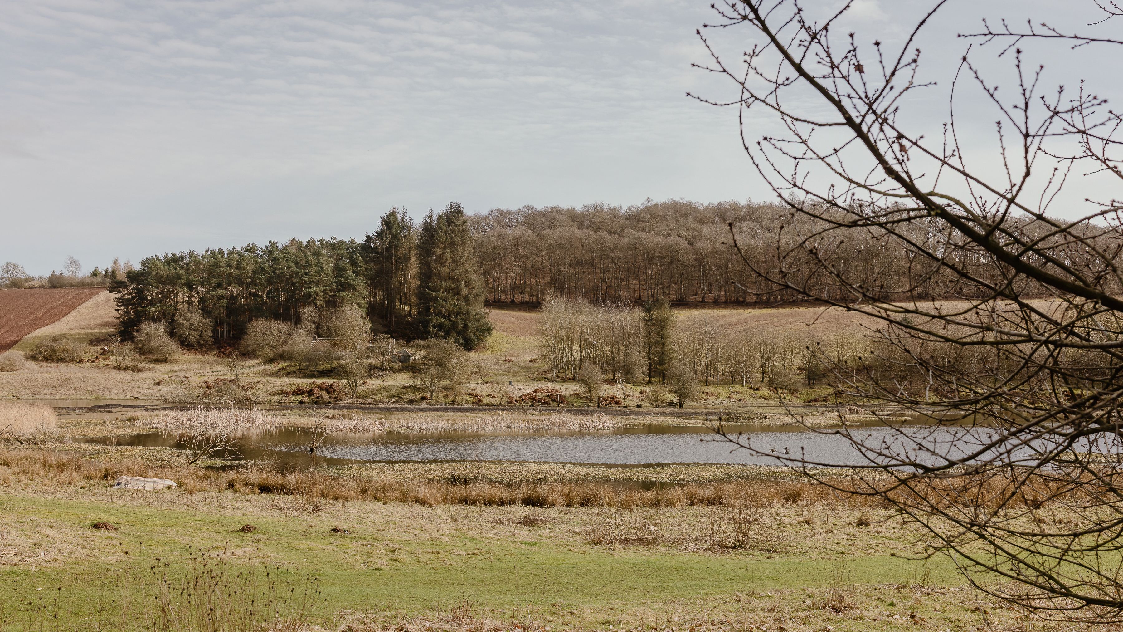 Rural landscape with a small lake, grassy fields and woodland under a pale sky