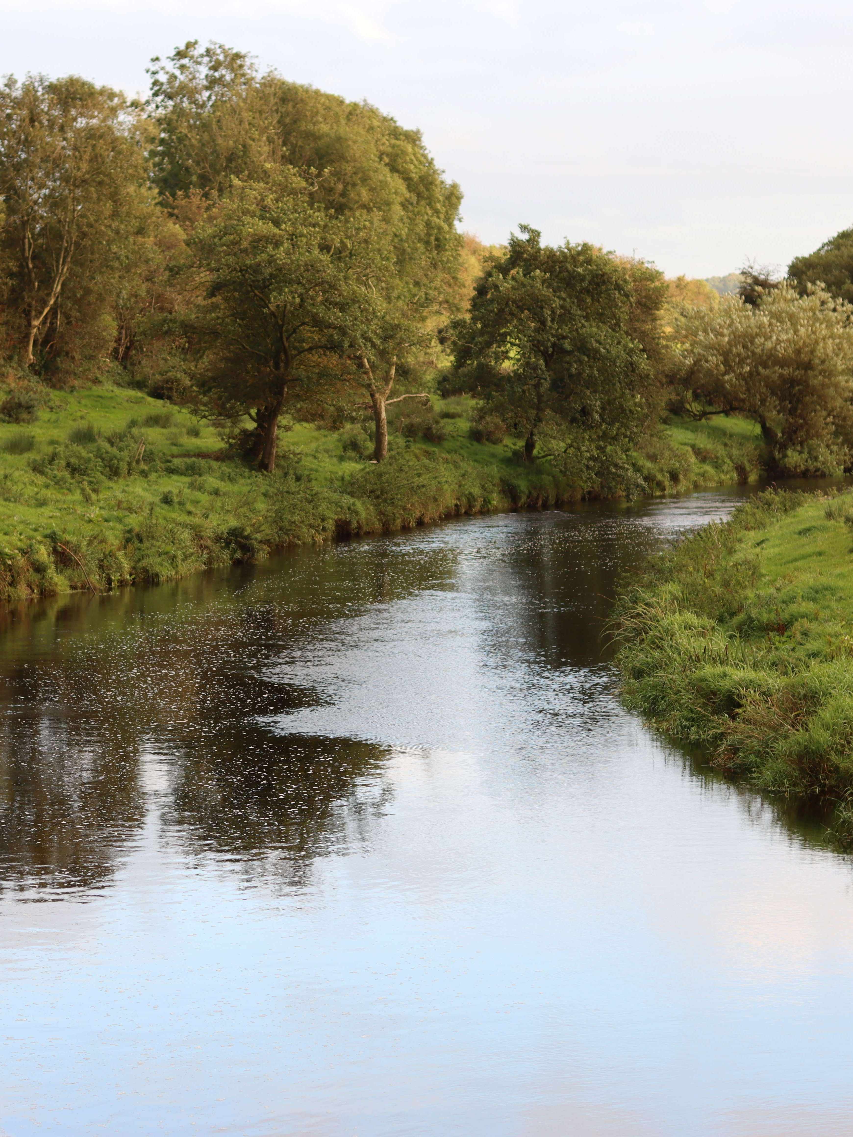 Calm river winding through green countryside with trees along the banks