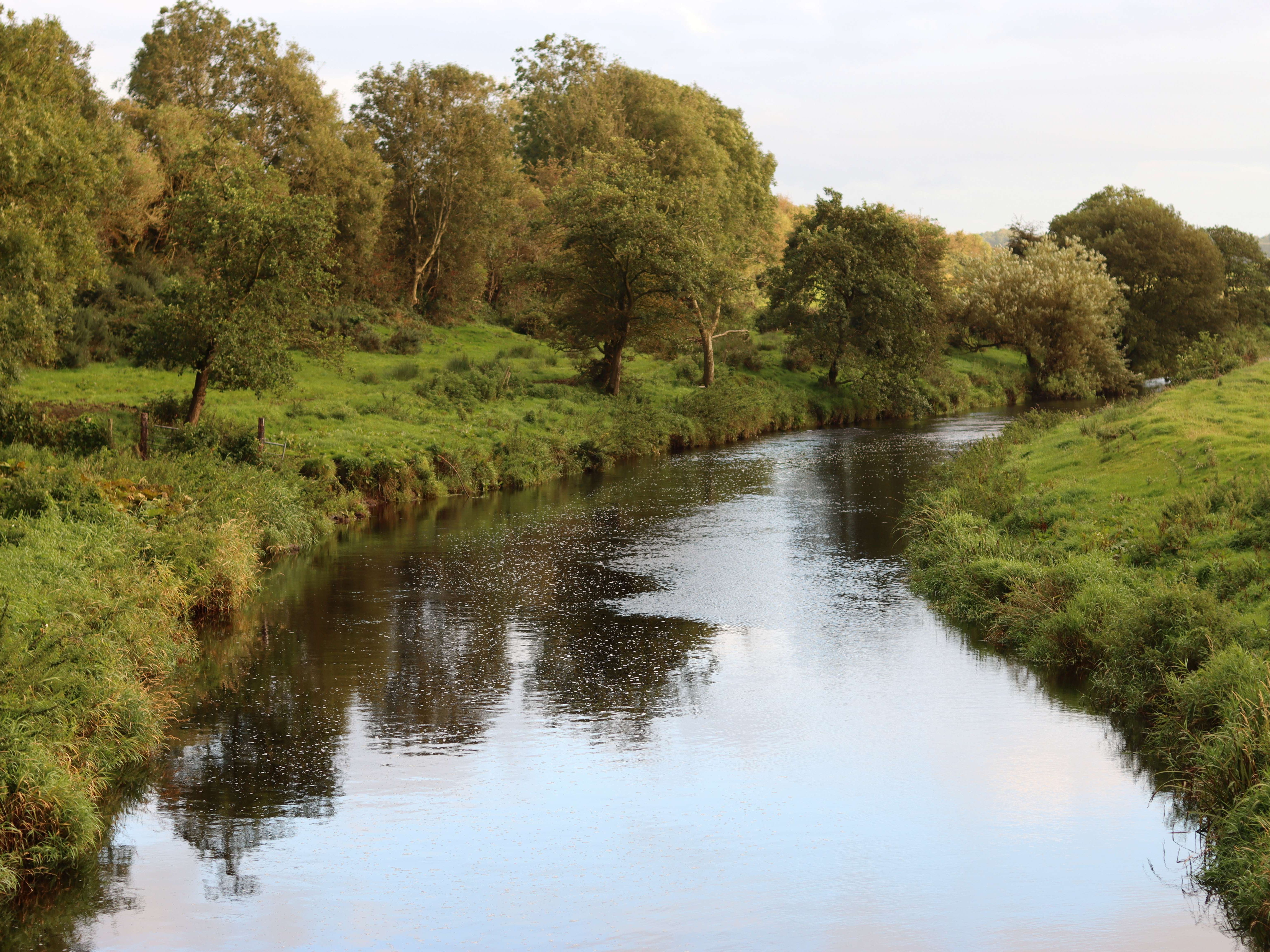 Calm river winding through green countryside with trees along the banks