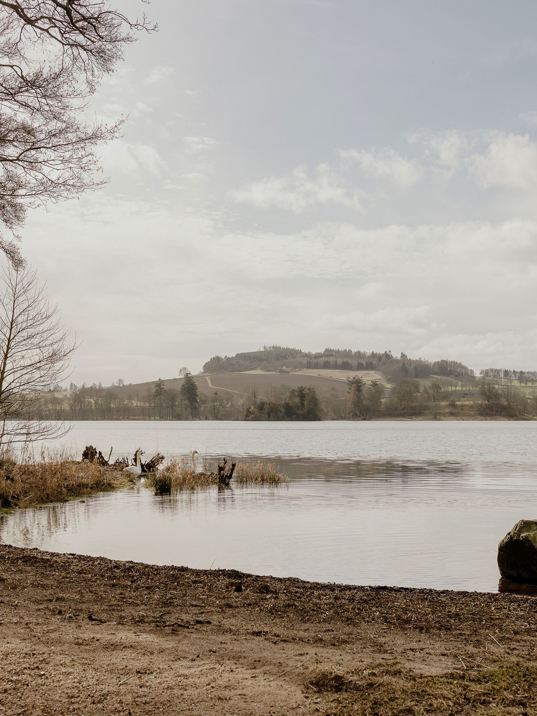 Quiet lakeside with bare trees, a large rock in shallow water, and distant hills under a cloudy sky