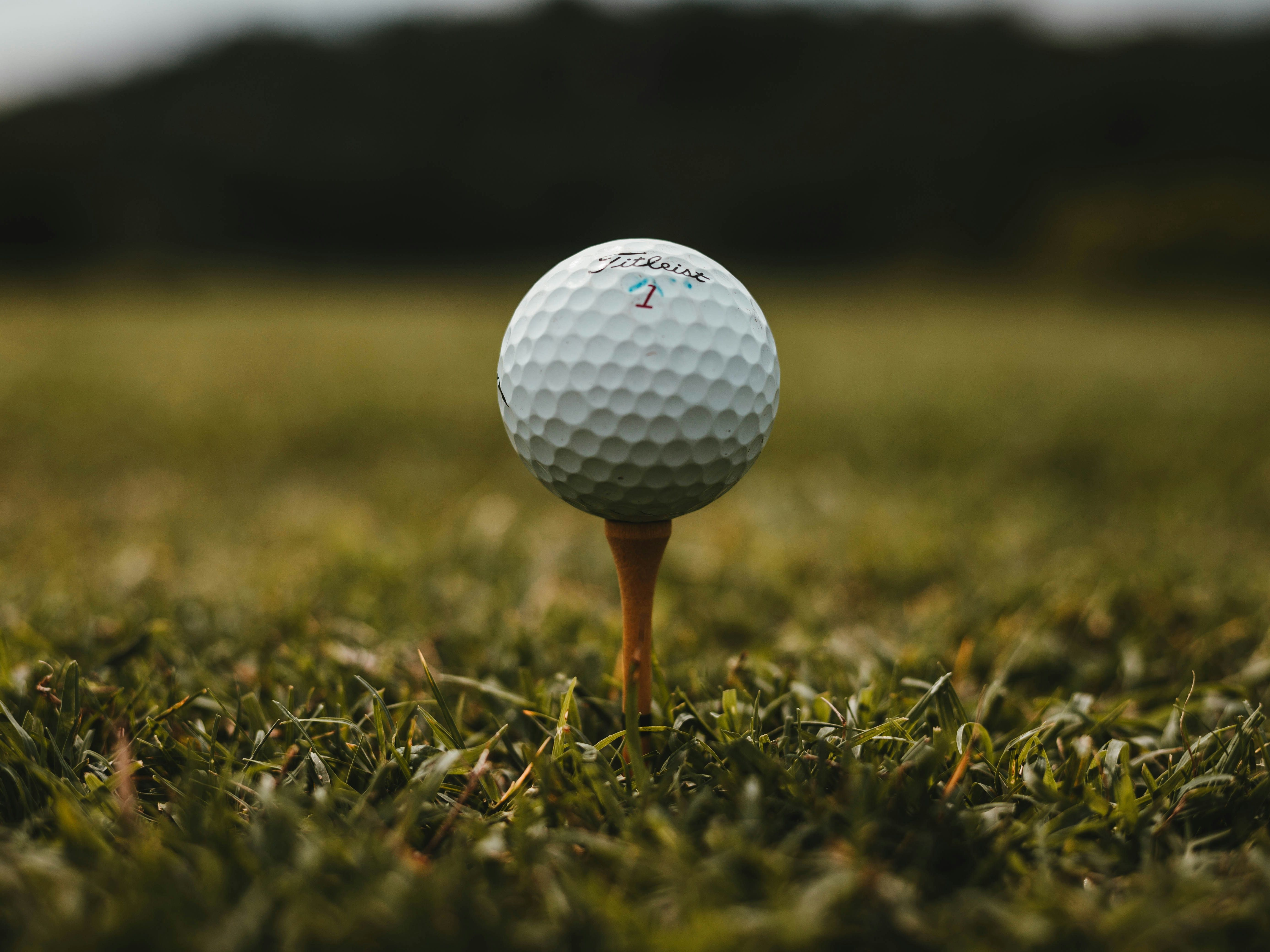Close-up of a white golf ball on a wooden tee in short grass