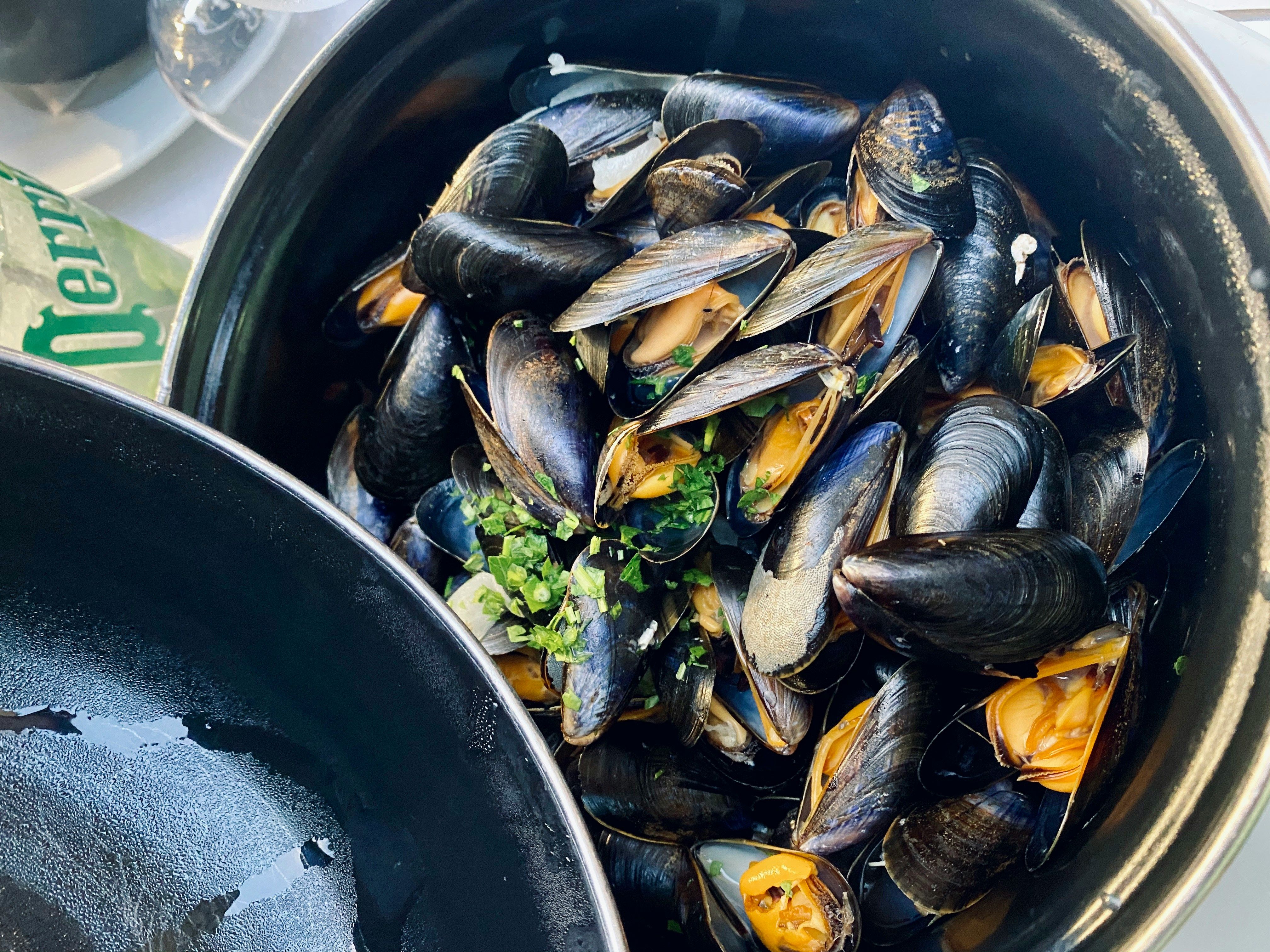 Cooked mussels in a pot with chopped herbs