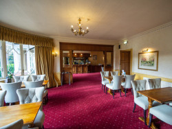 Terrace Bar