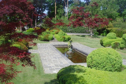 petwood-gardens-water-feature