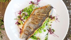 fish-steak