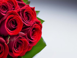 vecteezy_rose-rose-background-rose-bouquet-concept-of-valentine-s_16558253_6