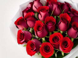 vecteezy_rose-rose-background-rose-bouquet-concept-of-valentine-s_16558250_628