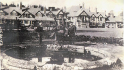 War time Petwood