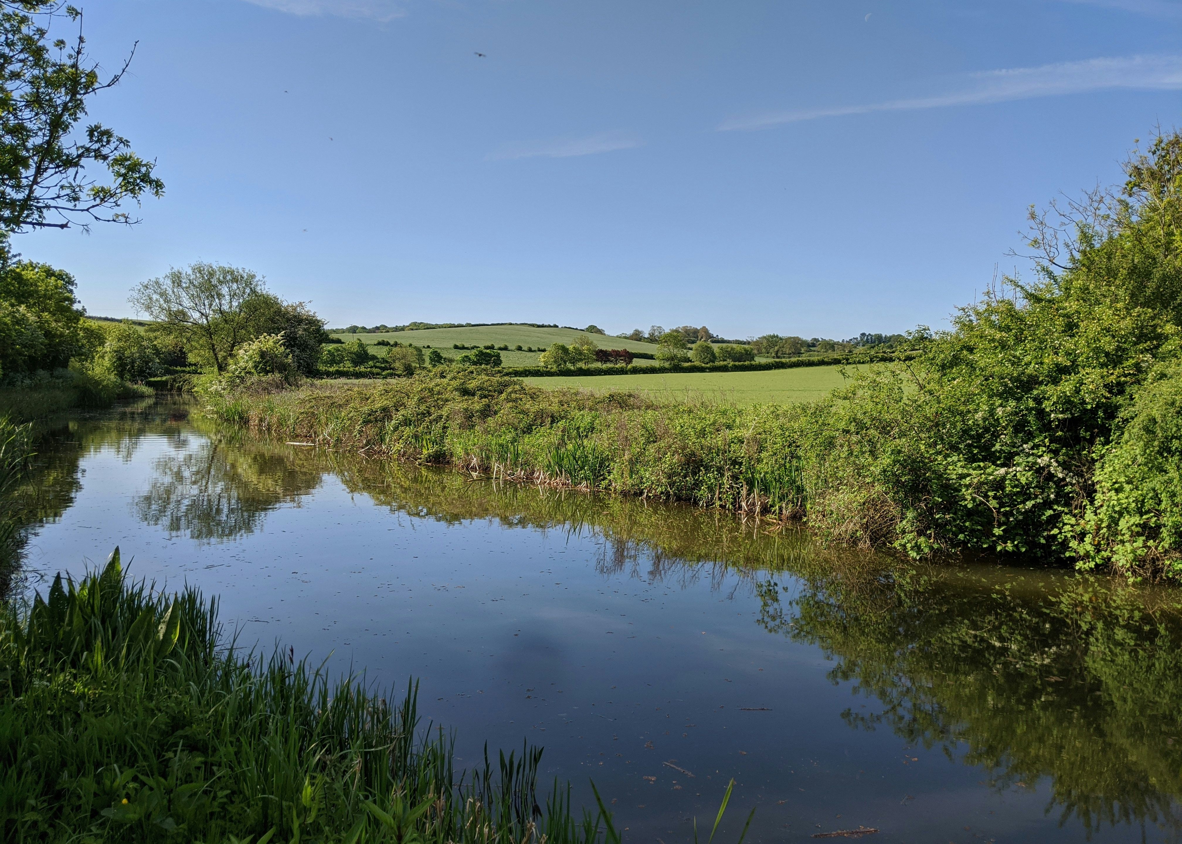 A calm river or canal running through green fields with trees and bushes under a clear blue sky.