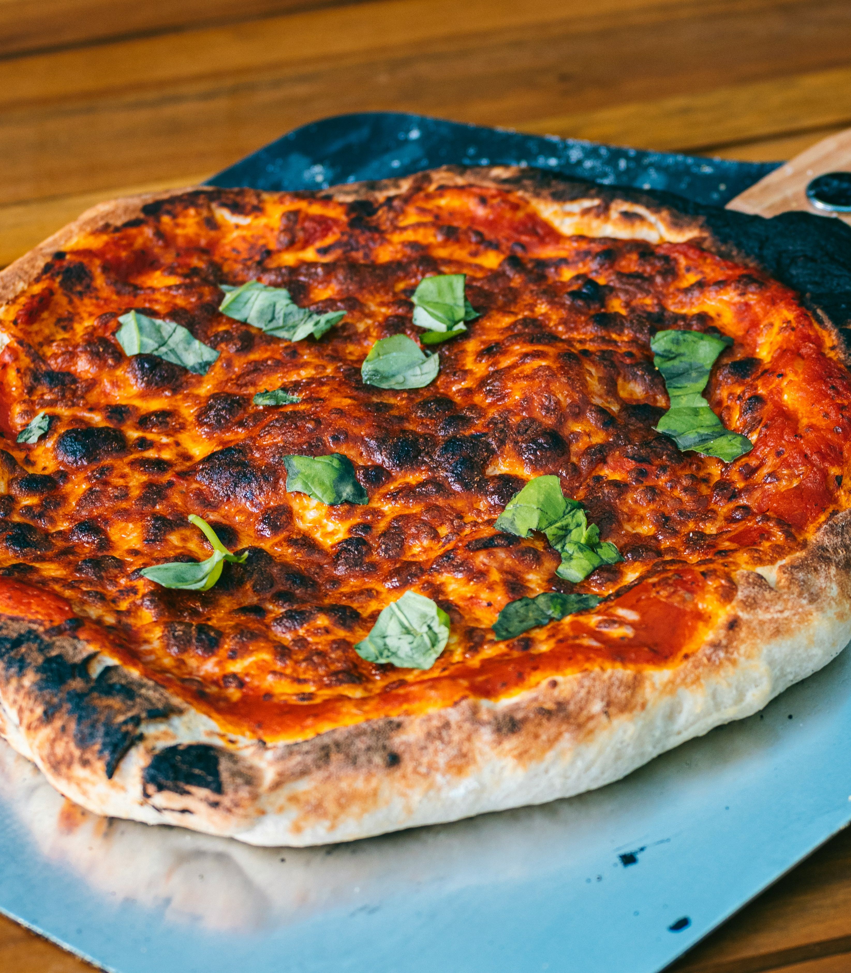 Freshly baked pizza with basil leaves on a metal pizza peel