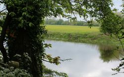 River