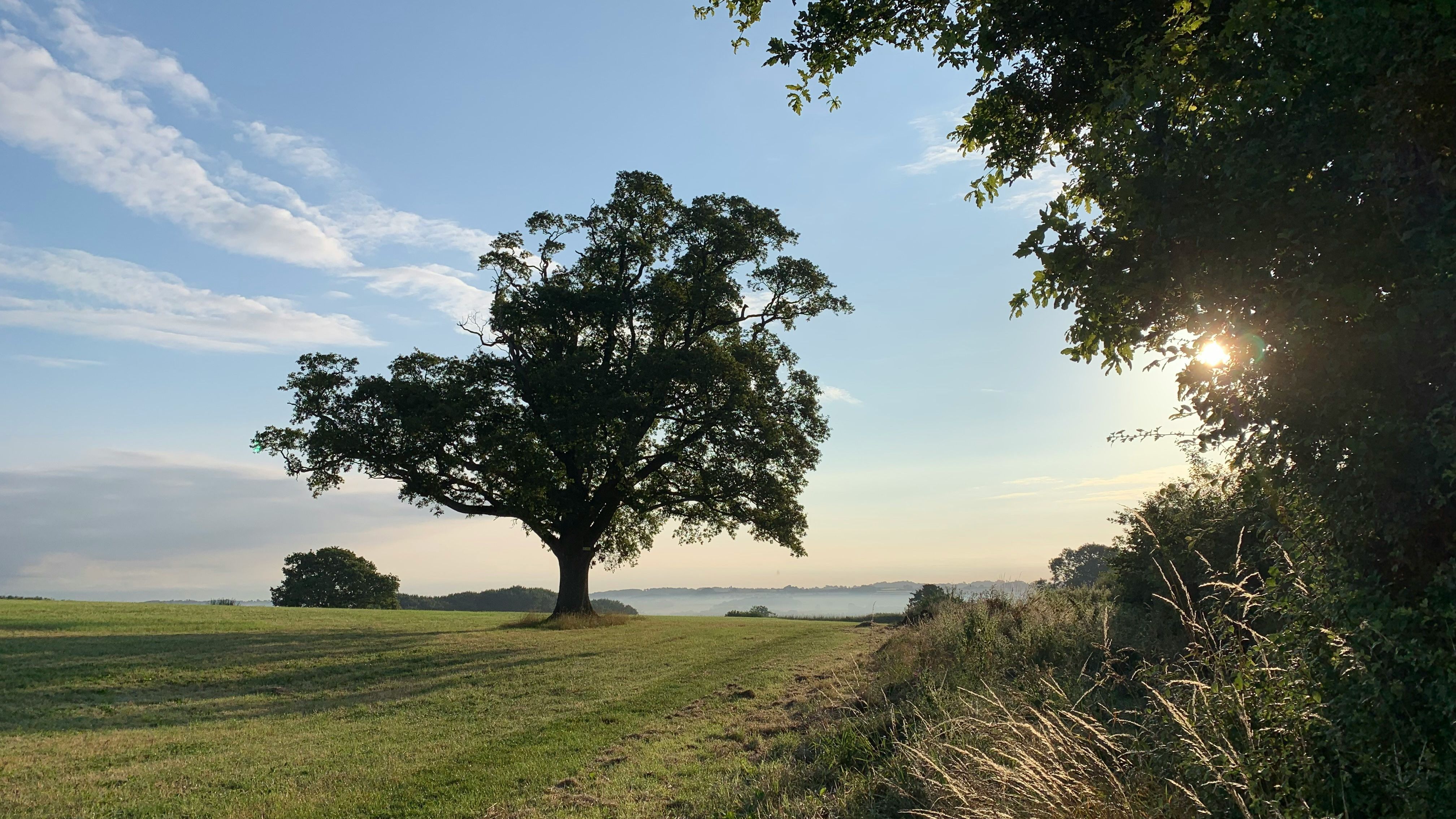 Shropshire Landscape