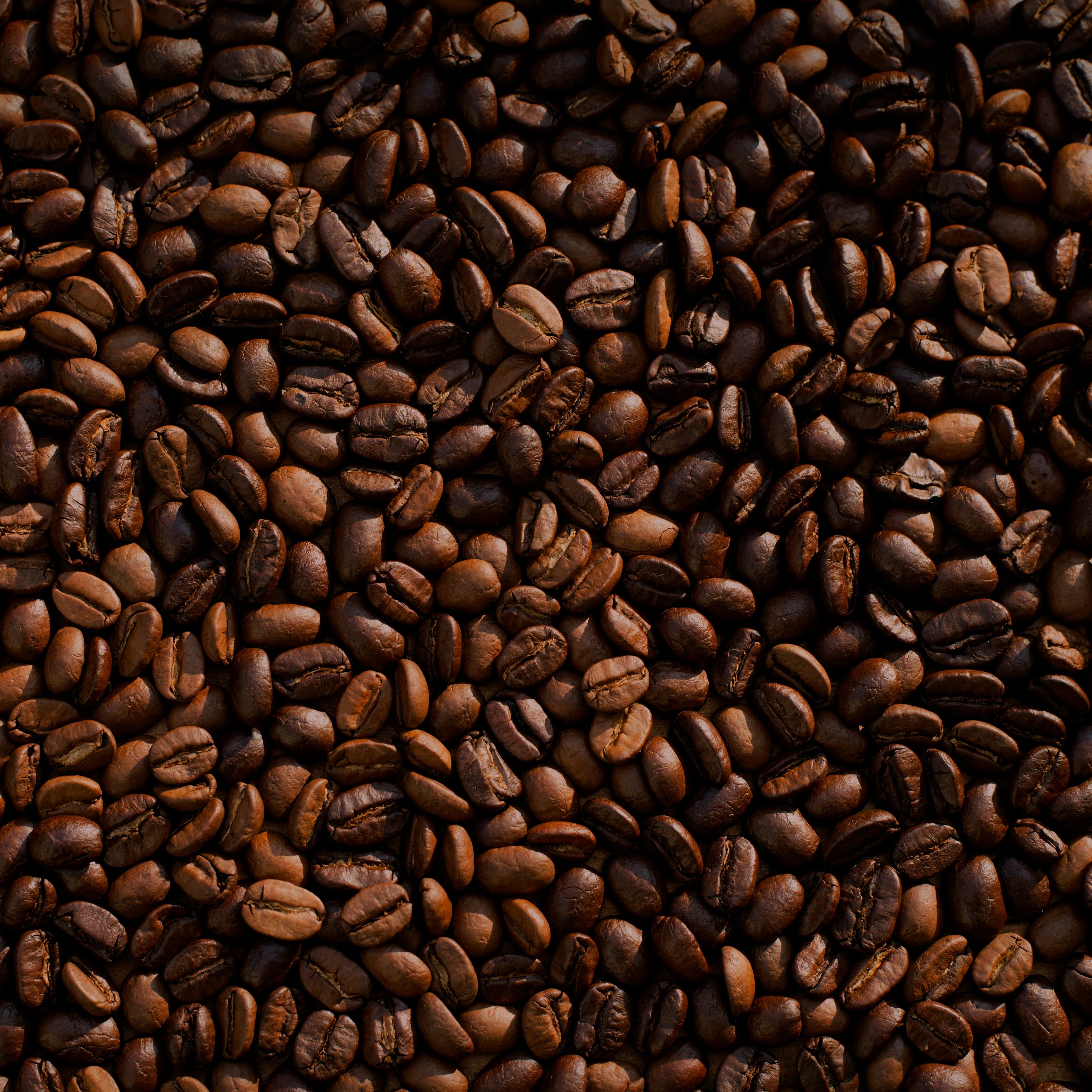 Roasted coffee beans in a close-up view
